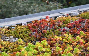 the cost of Coney Weston green roof installation