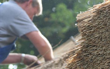 professional Coney Weston thatchers